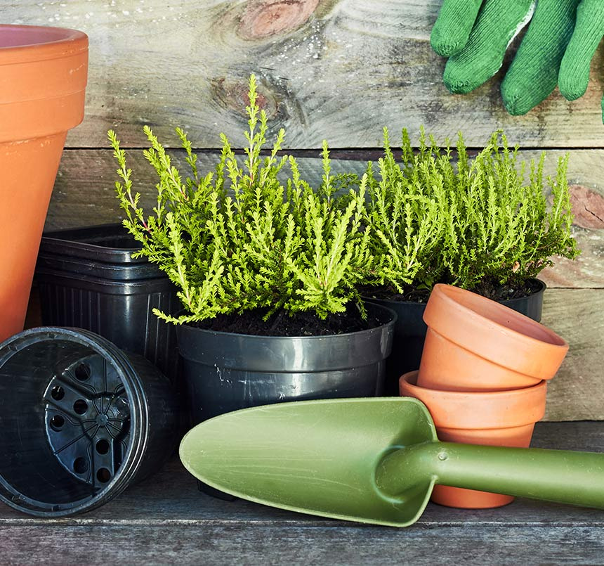 Gardening supplies